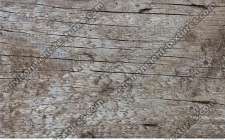 Photo Textures of Wood